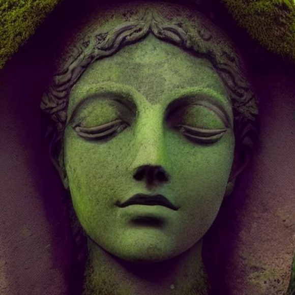 Meet your Posher, Micah - Picture 1 of 1